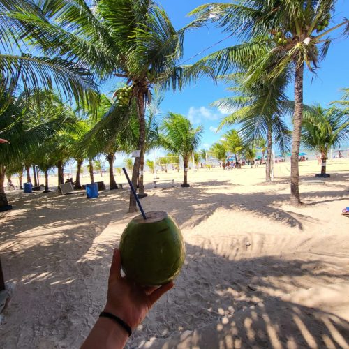 agua de coco joao pessoa